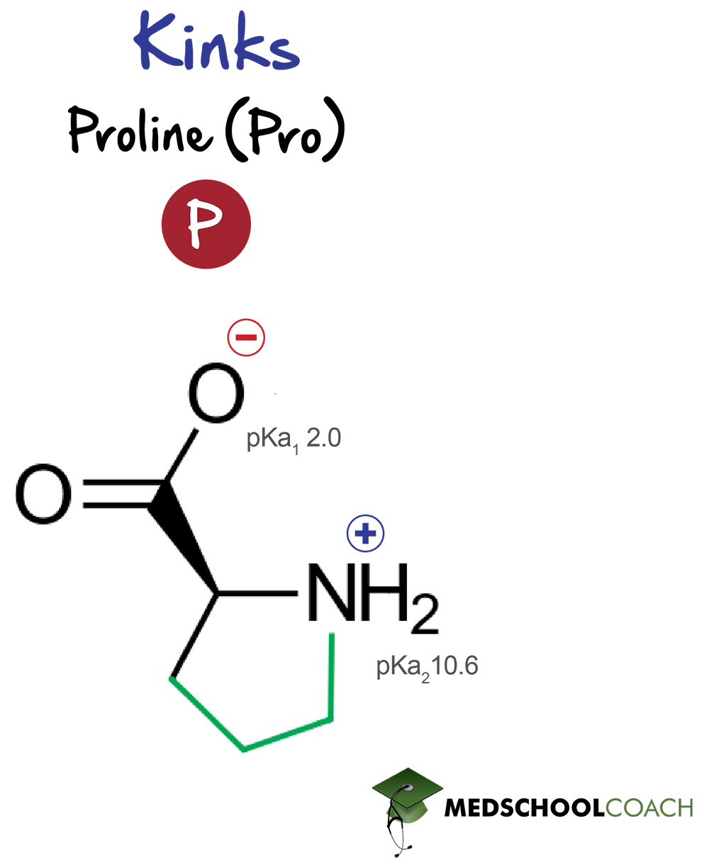 Proline - MCAT Biochemistry