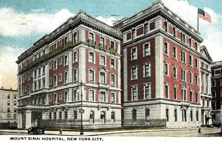 Mt. Sinai School of Medicine - FlexMed
