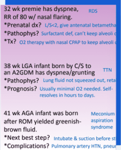 USMLE Step 1 personal tutoring