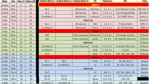 COMLEX Level 1 and 2 personal tutoring chart