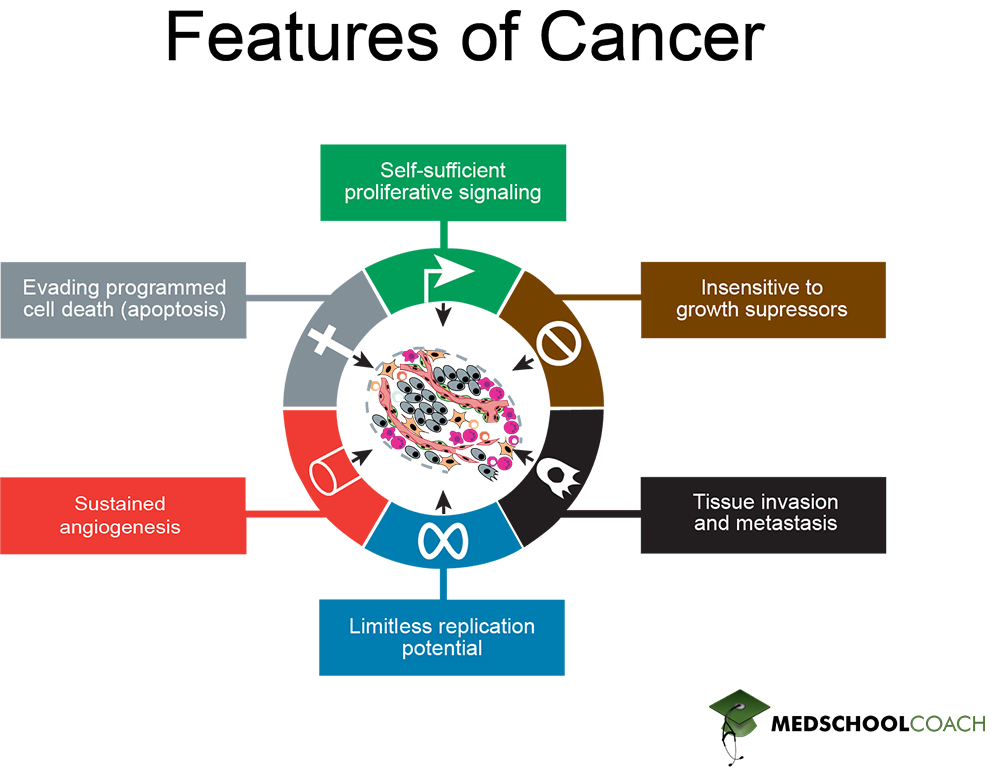 Features of Cancer - MCAT Biology