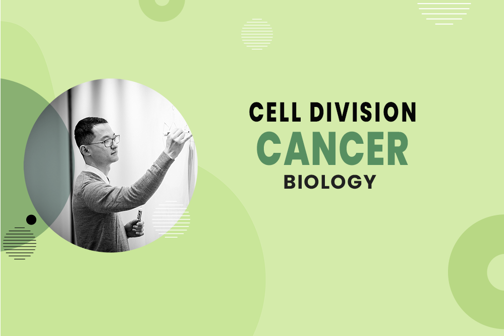 Cancer - Cell Division - MCAT Biology