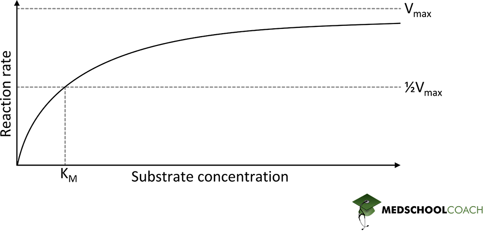 Michaelis Menten Saturation Curve - MCAT Biochemistry