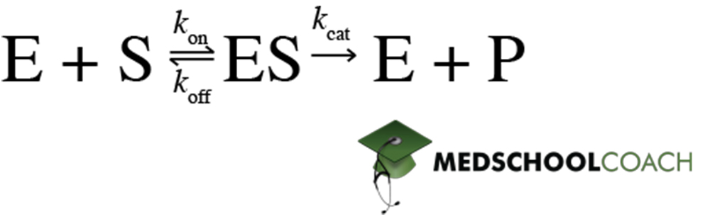 Michaelis Menten Kinetics Model - MCAT Biochemistry