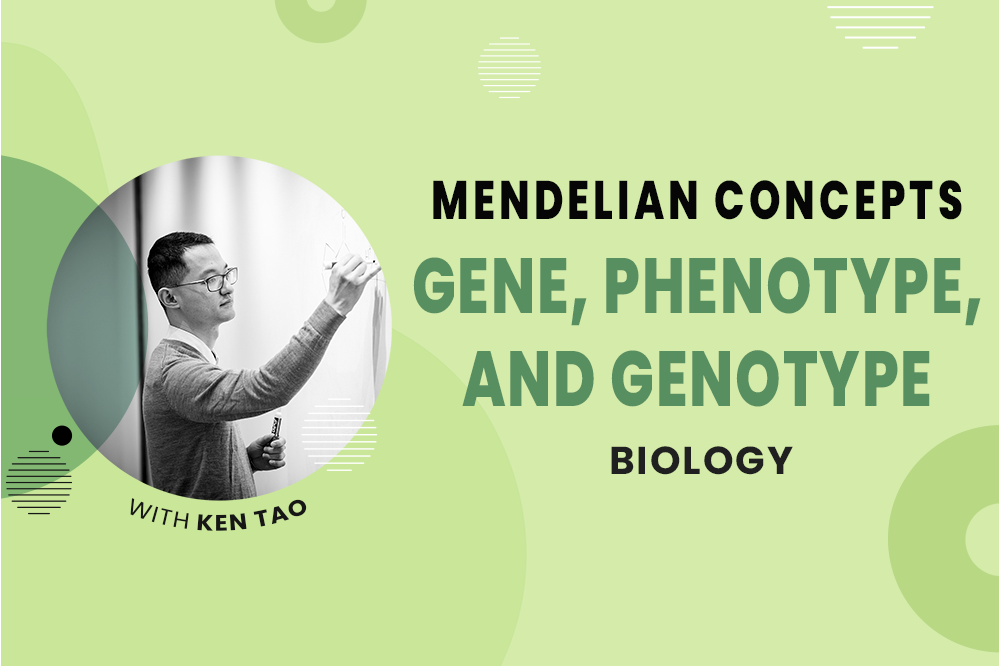 Genes, Genotype, and Phenotype - MCAT Biology