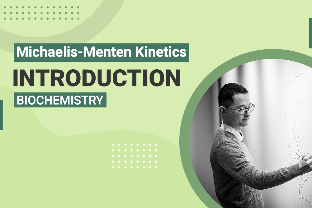 Michaelis Menten Kinetics MCAT Biochemistry