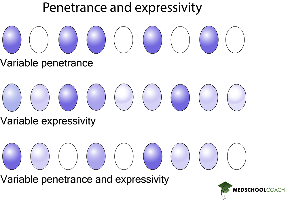 Penetrance and Expressivity - MCAT Biology