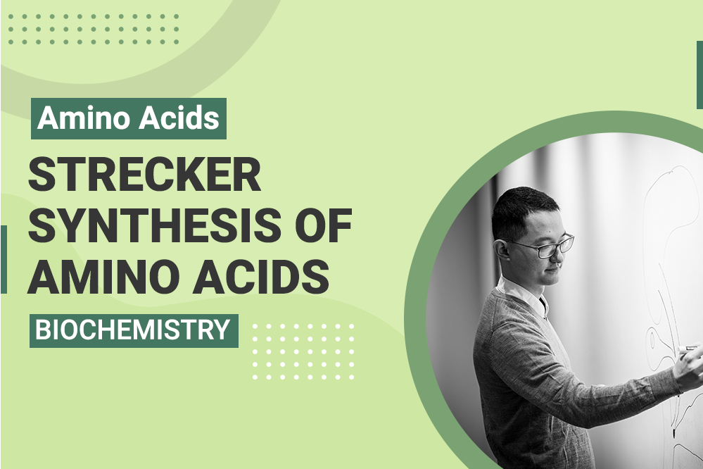 Amino Acids - Strecker Synthesis of Amino Acids