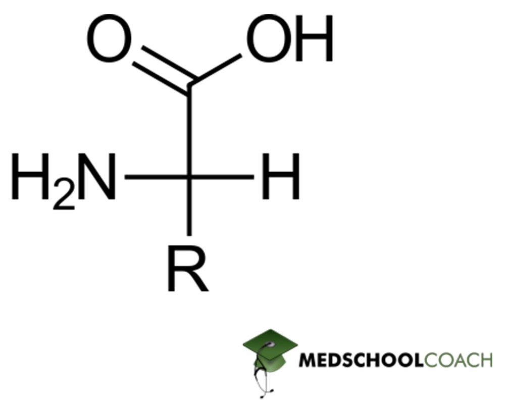 Amino Acid Structure - MCAT Biochem