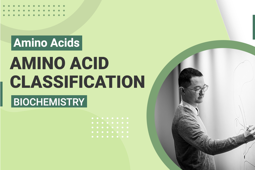 Amino Acids - Amino Acid Classification