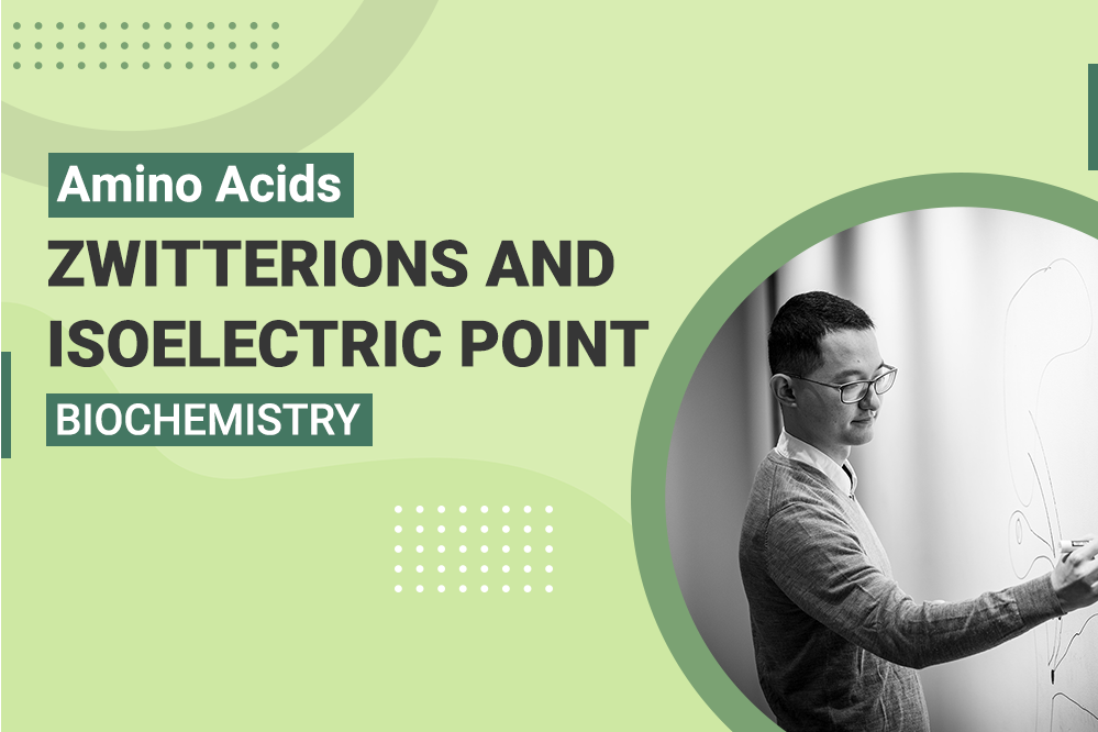 Amino Acids - Zwitterions and Isoelectric Point