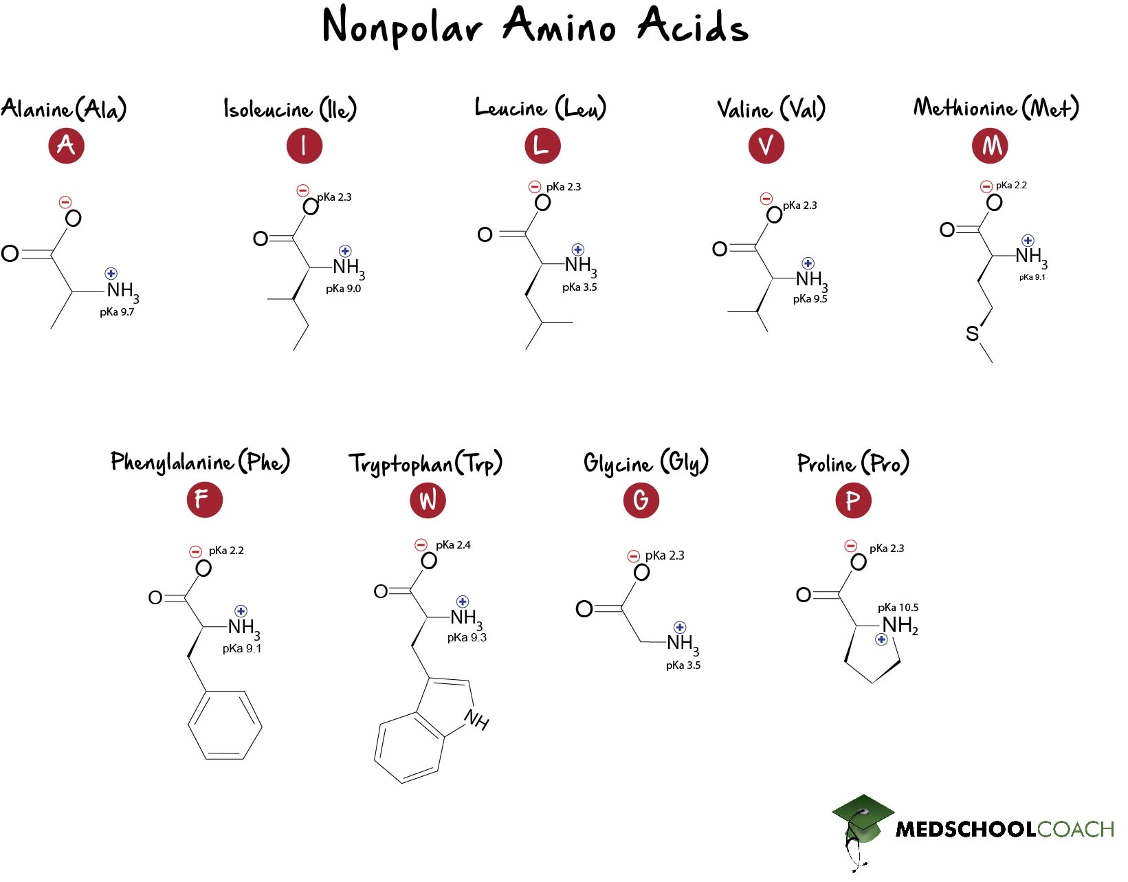 Non-Polar Amino Acids - MCAT Biochemistry