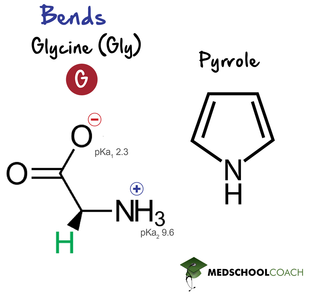 Glycine and Pyrrole - MCAT Biochemistry