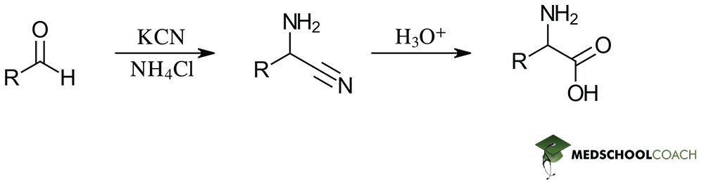 Overview of Strecker Synthesis - MCAT Biochemistry