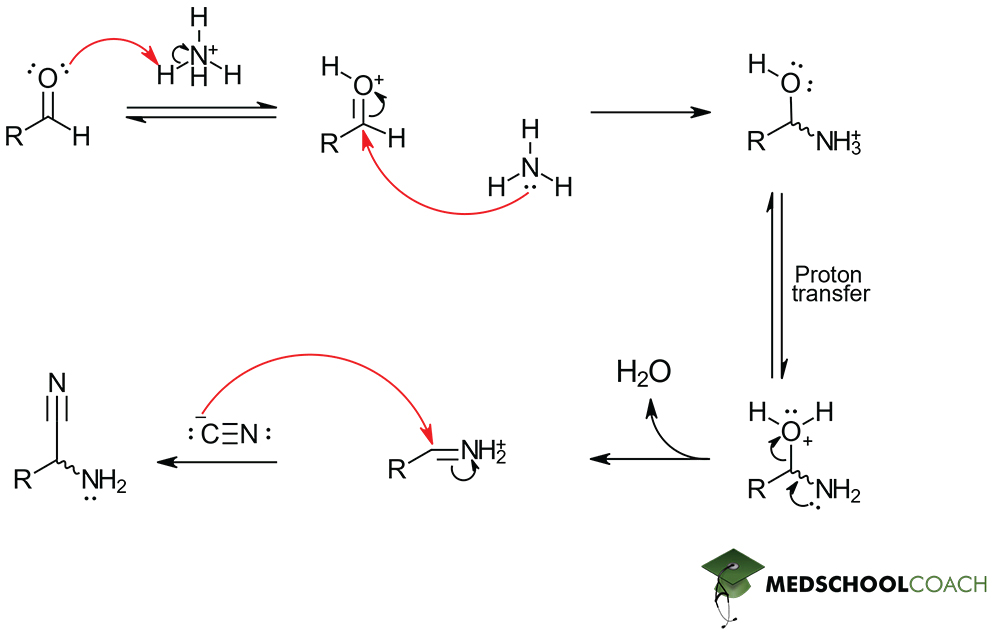 Steps 1 and 2 of Strecker Synthesis - MCAT Biochemistry