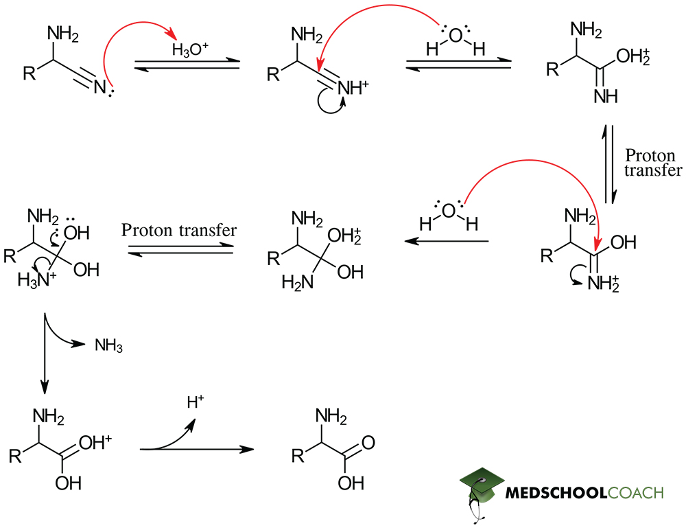 Third Step of Strecker Synthesis - MCAT Biochemistry