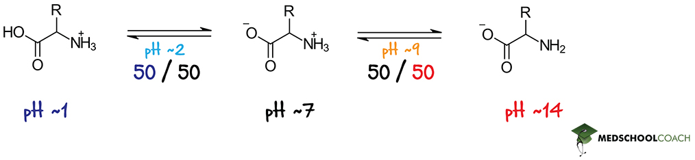 Amino Acid as a Cation, Zwitterion, and Anion - MCAT Biochemistry