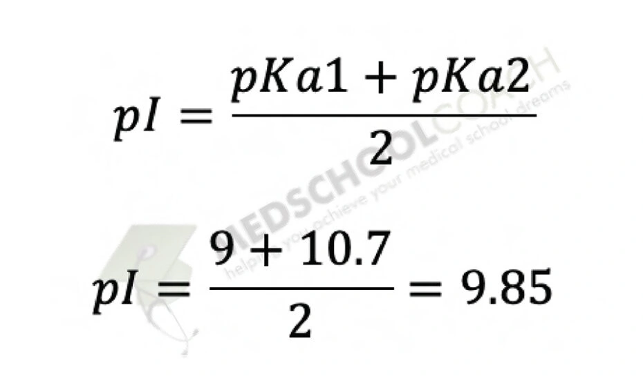 Zwitterions and Isoelectric Point MCAT Biochemistry MedSchoolCoach