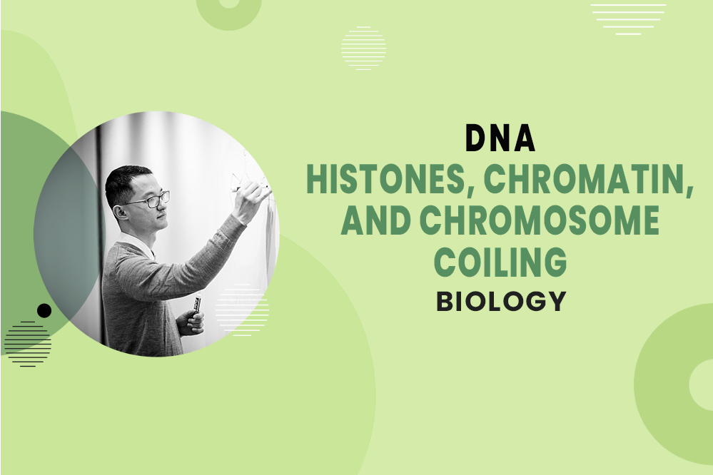 MCAT Biology - DNA - Chromosome Organization - Histones, Chromatin, and Chromosome Coiling