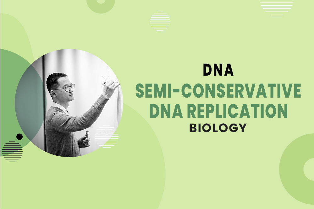 MCAT Biology - DNA - Semi-Conservative DNA Replication