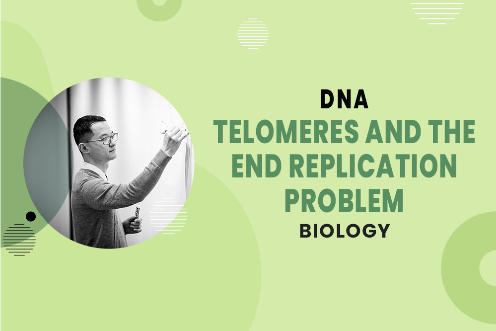 MCAT Biology - DNA - DNA Replication and Repair - Telomeres and the End Replication Problem