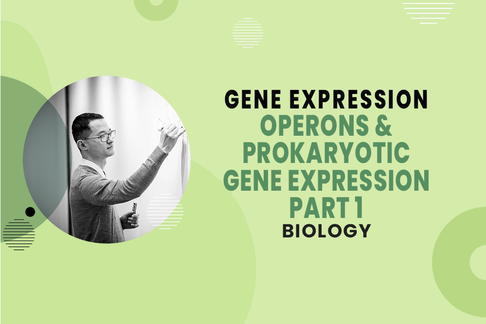 MCAT Biology - Gene Expression - Operons & Prokaryotic Gene Expression Part 1