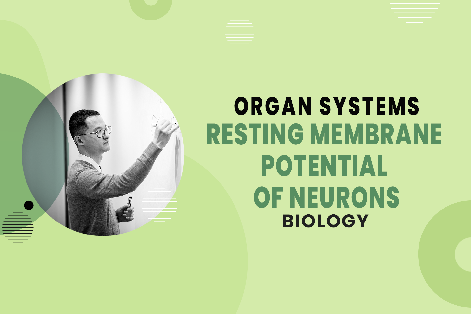 Resting Membrane Potential of Neurons - Organ Systems - MCAT Biology