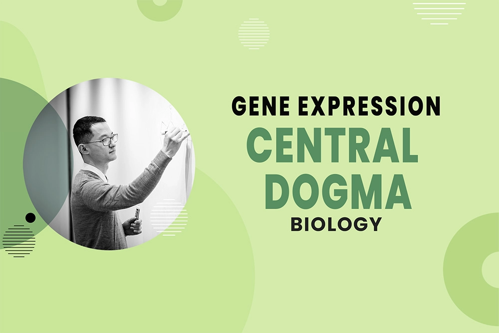 Central Dogma - Gene Expression - MCAT Biology