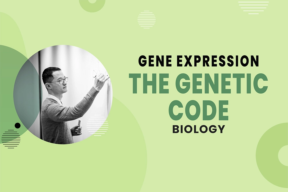 The Genetic Code - Gene Expression - MCAT Biology