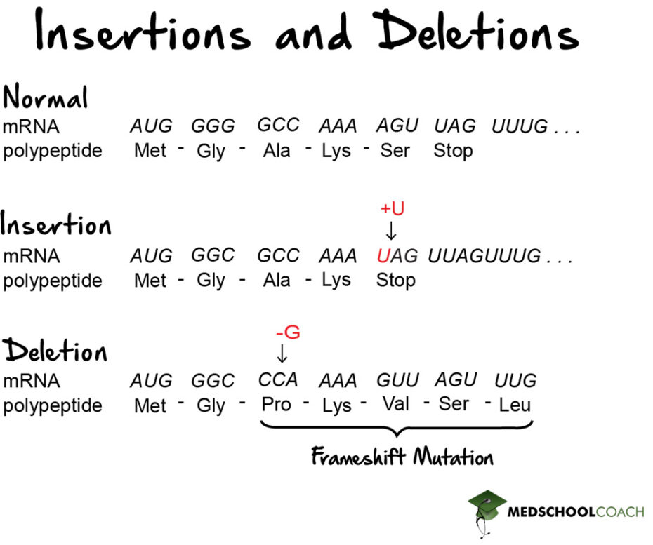 Mutations mcat biology medschoolcoach
