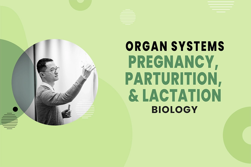 Pregnancy, Parturition, & Lactation - Organ Systems - MCAT Biology