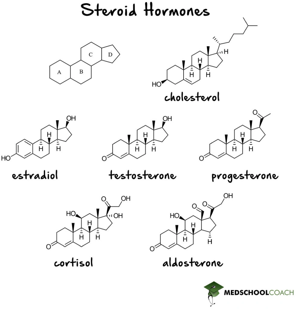 Structure of cholesterol versus cholesterol-derived steroid hormones