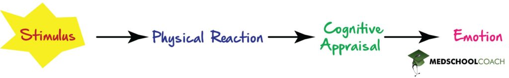 Schachter-Singer theory, a theory of emotion tested on the MCAT, posits that a cognitive appraisal occurs between the physiological and emotional responses to stimuli