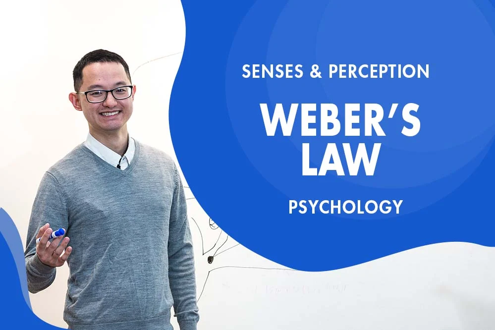 MCAT Psychology - Senses & Perception - Perception - Weber's Law