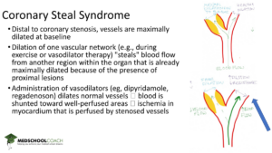 An example of MedSchoolCoach's USMLE Step 1 Tutoring Content Review