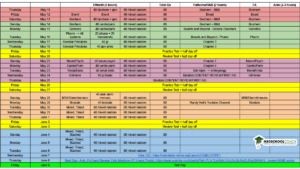 An example of MedSchoolCoach's USMLE Step 1 Tutoring Strategy