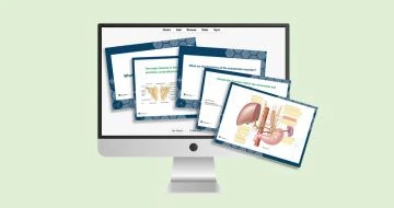 The Complete Anatomy Anki Deck for MS1s