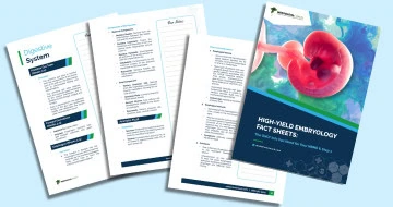 High-Yield Embryology Fact Sheets & Anki Deck