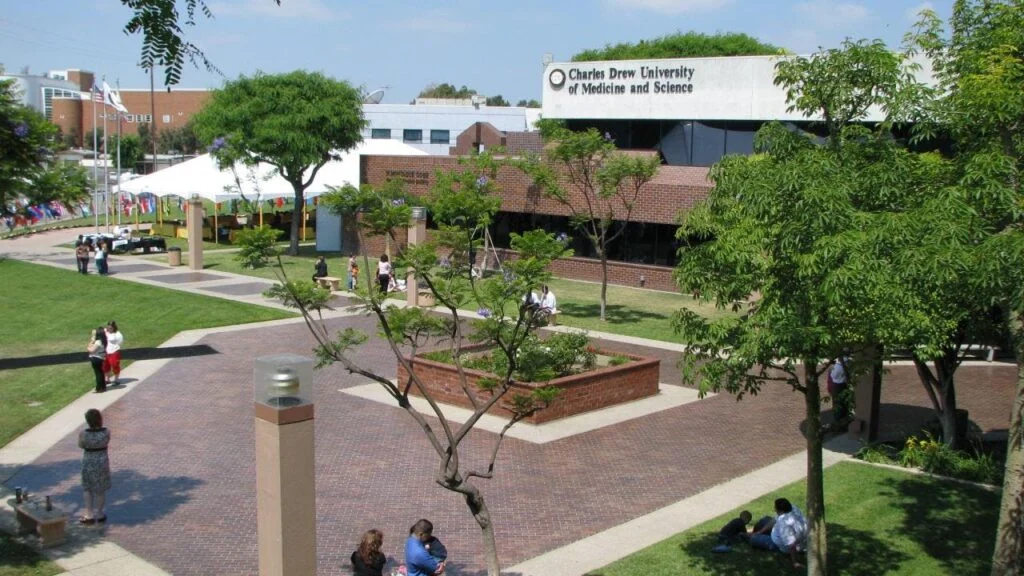 Picture of Medical Building