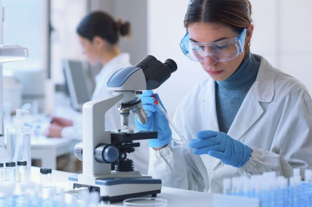 Research Project for High School Students