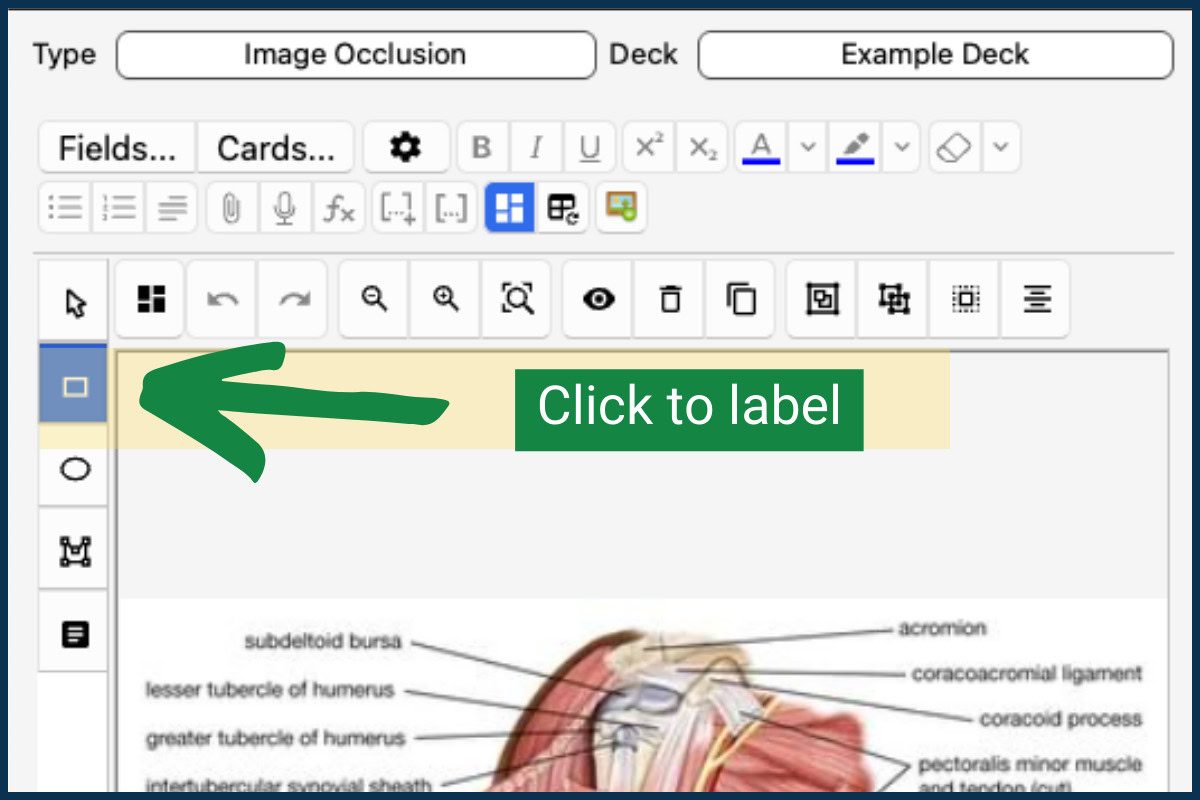 Creating an Anki Image Occlusion Card Step 7: Click "Create Labels"