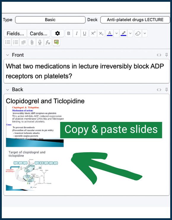 Create basic Anki cards out of lecture material step 3: Paste the relevant slide information